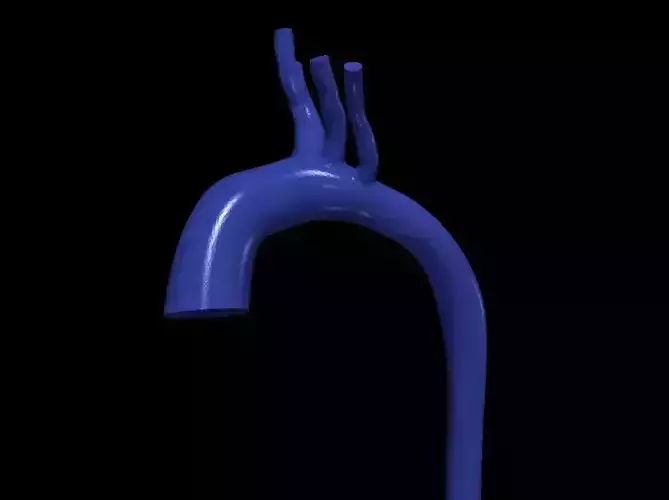 3d model of aorta