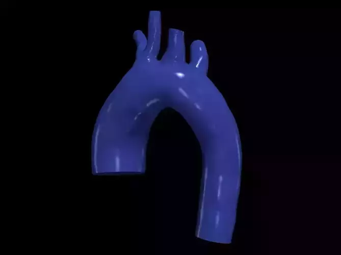 3d model of aorta