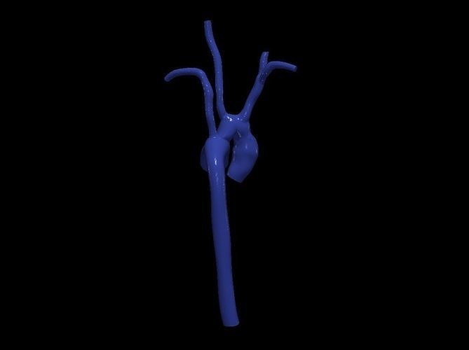 3d model of aorta 3D print model