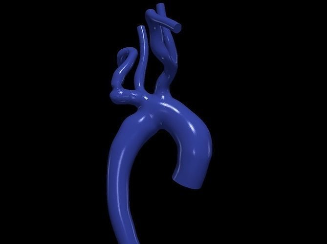3d model of aorta 3D print model