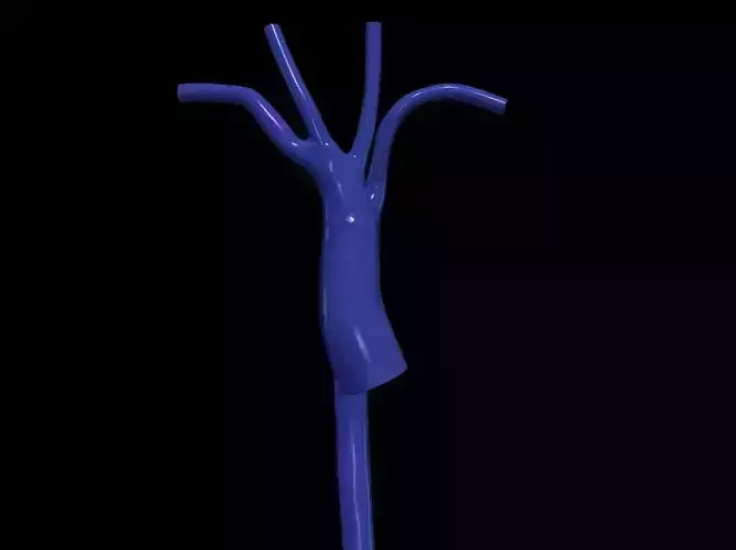 3d model of aorta 3D print model