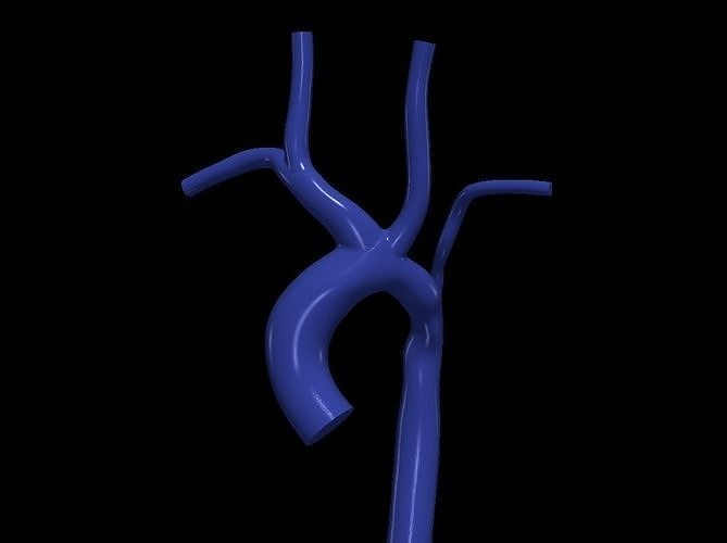 3d model of aorta 3D print model