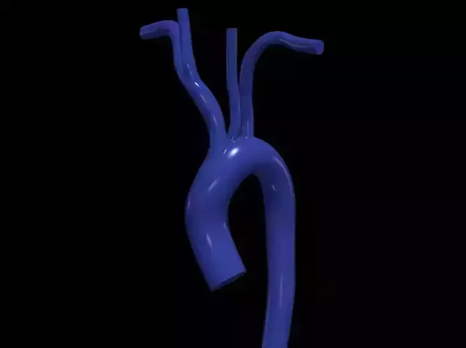 3d model of aorta 3D print model
