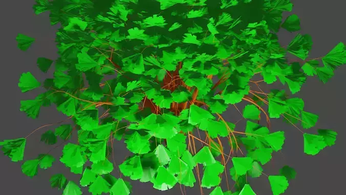 TREE 3d ginkgo with leaves