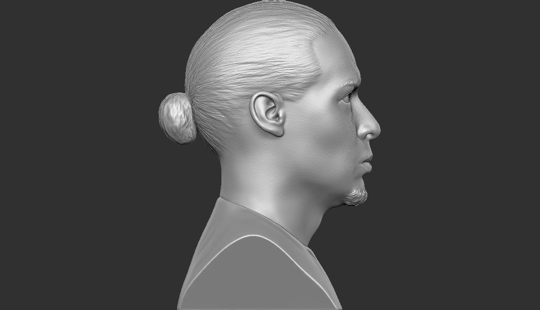 Virgil van Dijk bust for 3D printing 3D print model_13