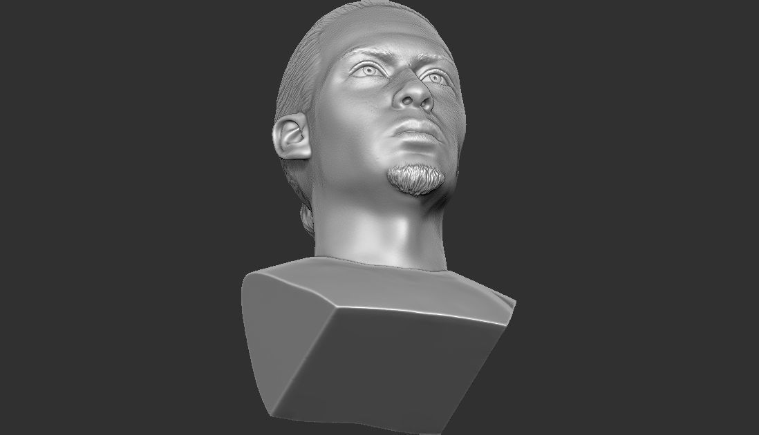 Virgil van Dijk bust for 3D printing 3D print model_24