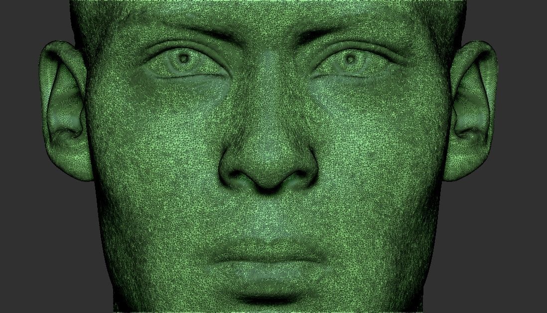 Virgil van Dijk bust for 3D printing 3D print model_33
