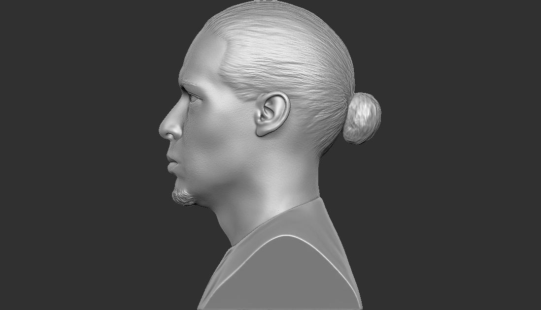 Virgil van Dijk bust for 3D printing 3D print model_9
