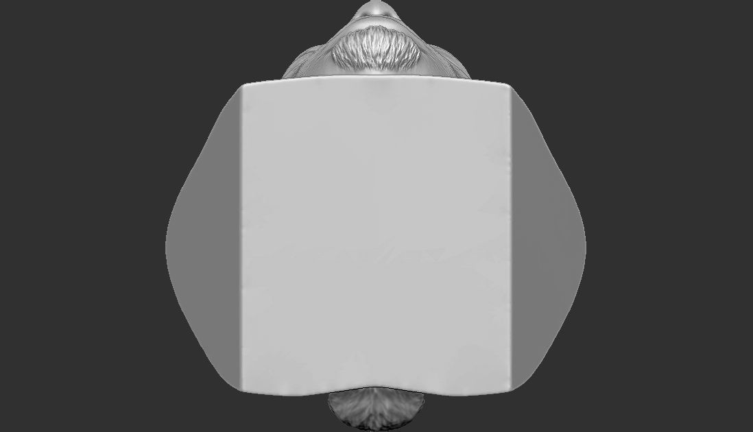 Virgil van Dijk bust for 3D printing 3D print model_26