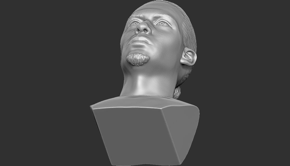 Virgil van Dijk bust for 3D printing 3D print model_25