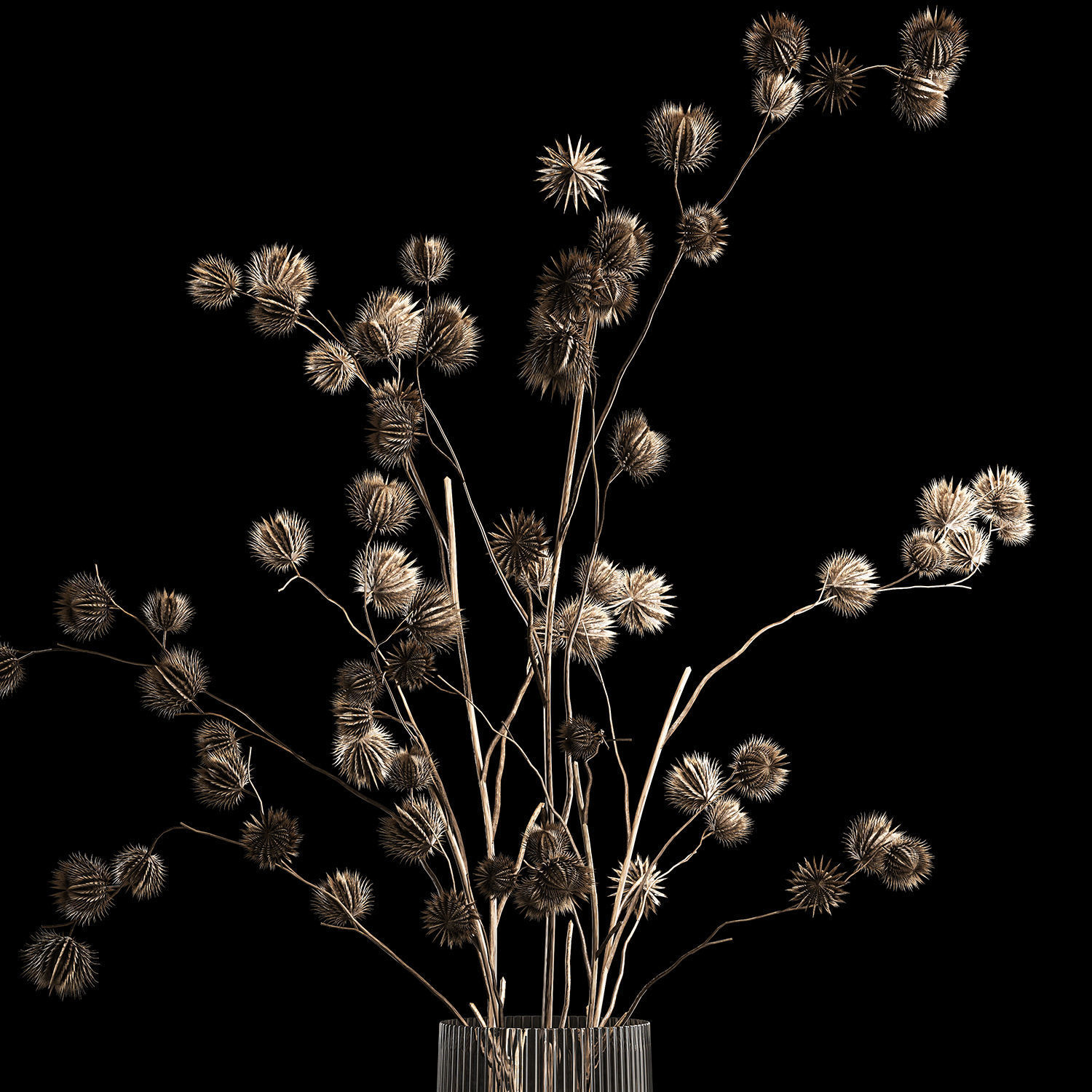 Bouquet Of Dried Flowers From Thorn And branches 3D model_2