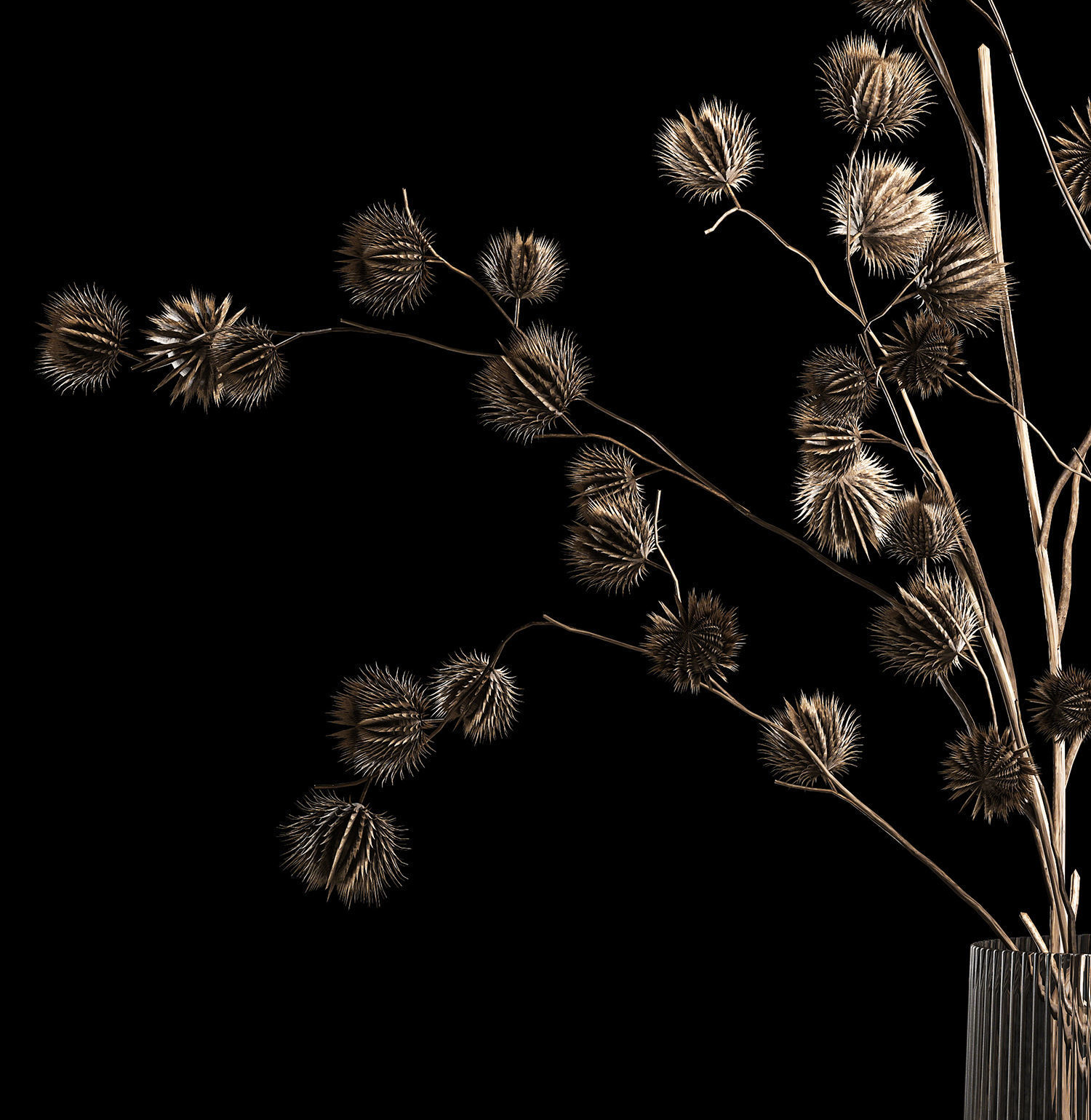 Bouquet Of Dried Flowers From Thorn And branches 3D model_3