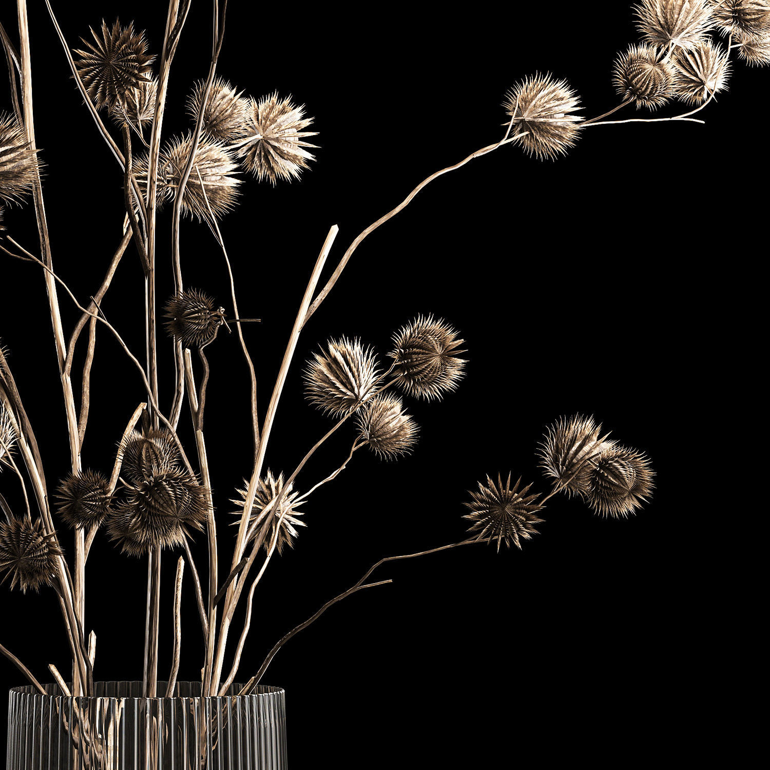 Bouquet Of Dried Flowers From Thorn And branches 3D model_5