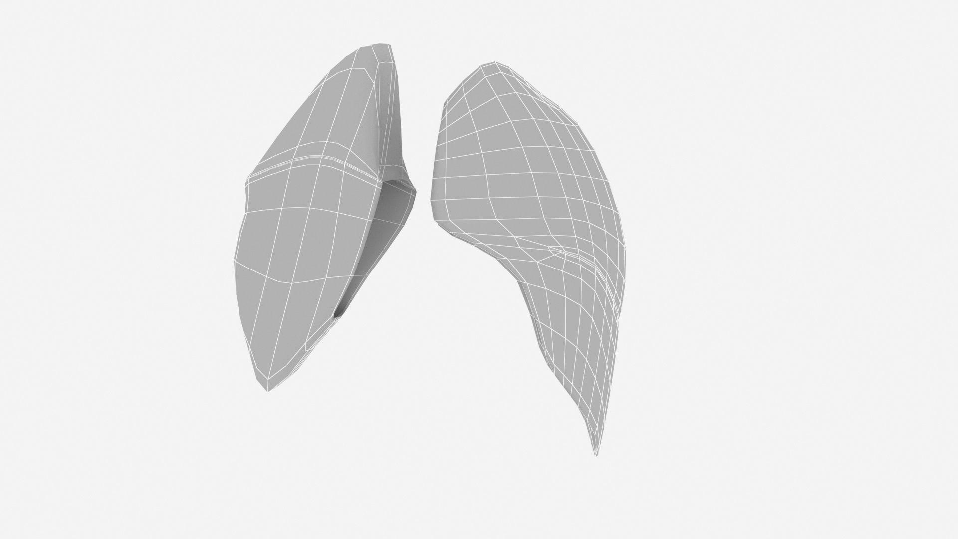 human internal organs 3D model_20