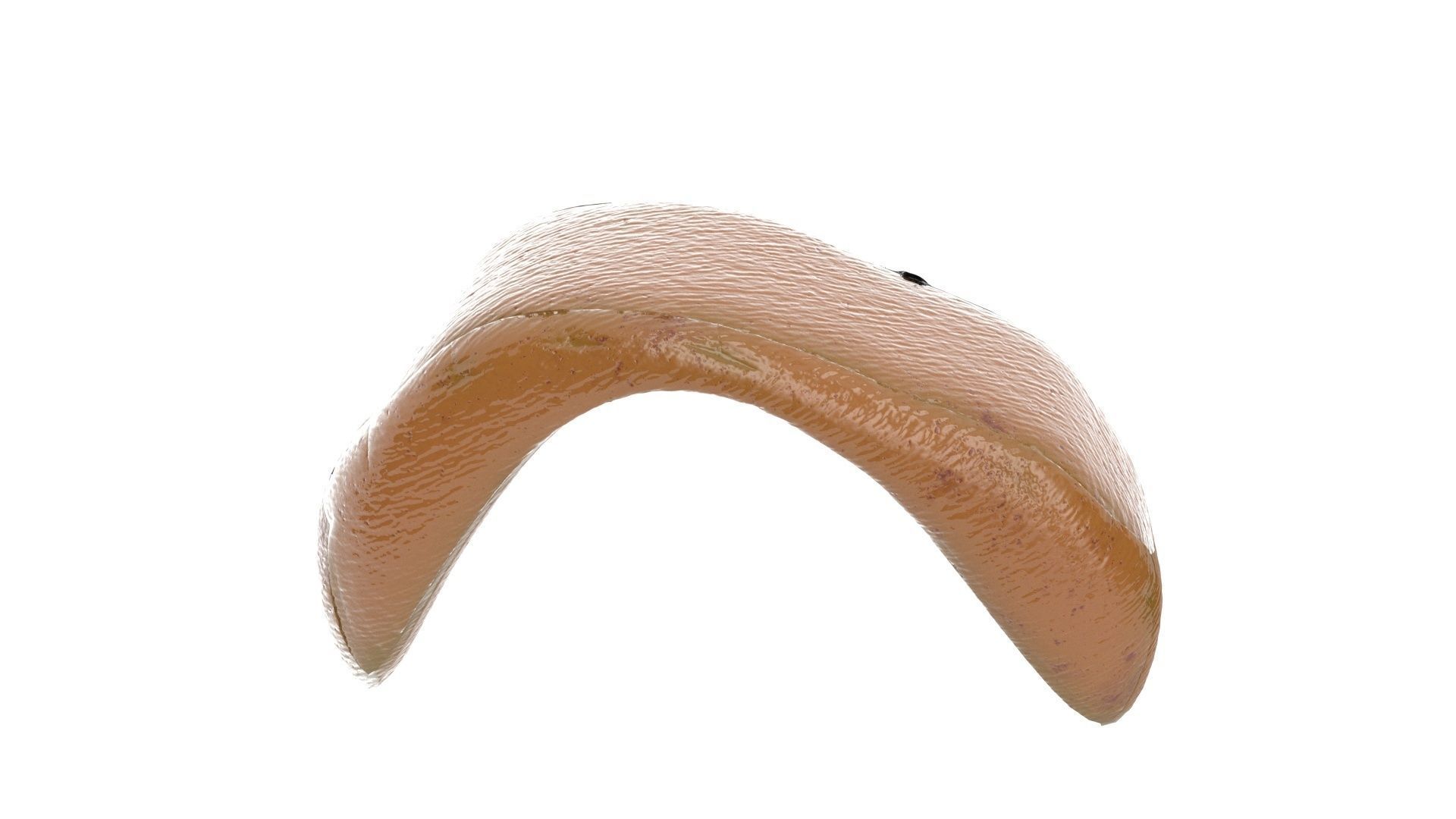 human internal organs 3D model_9