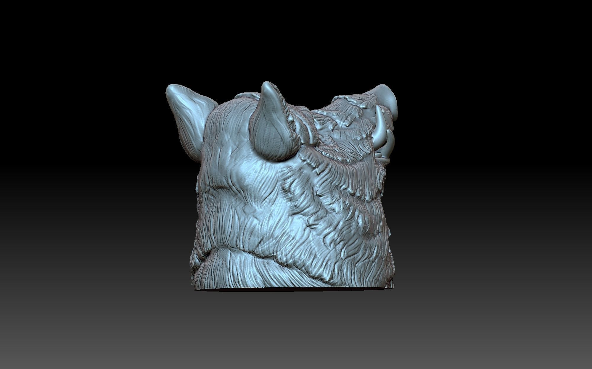 Boar head 3D print model_4