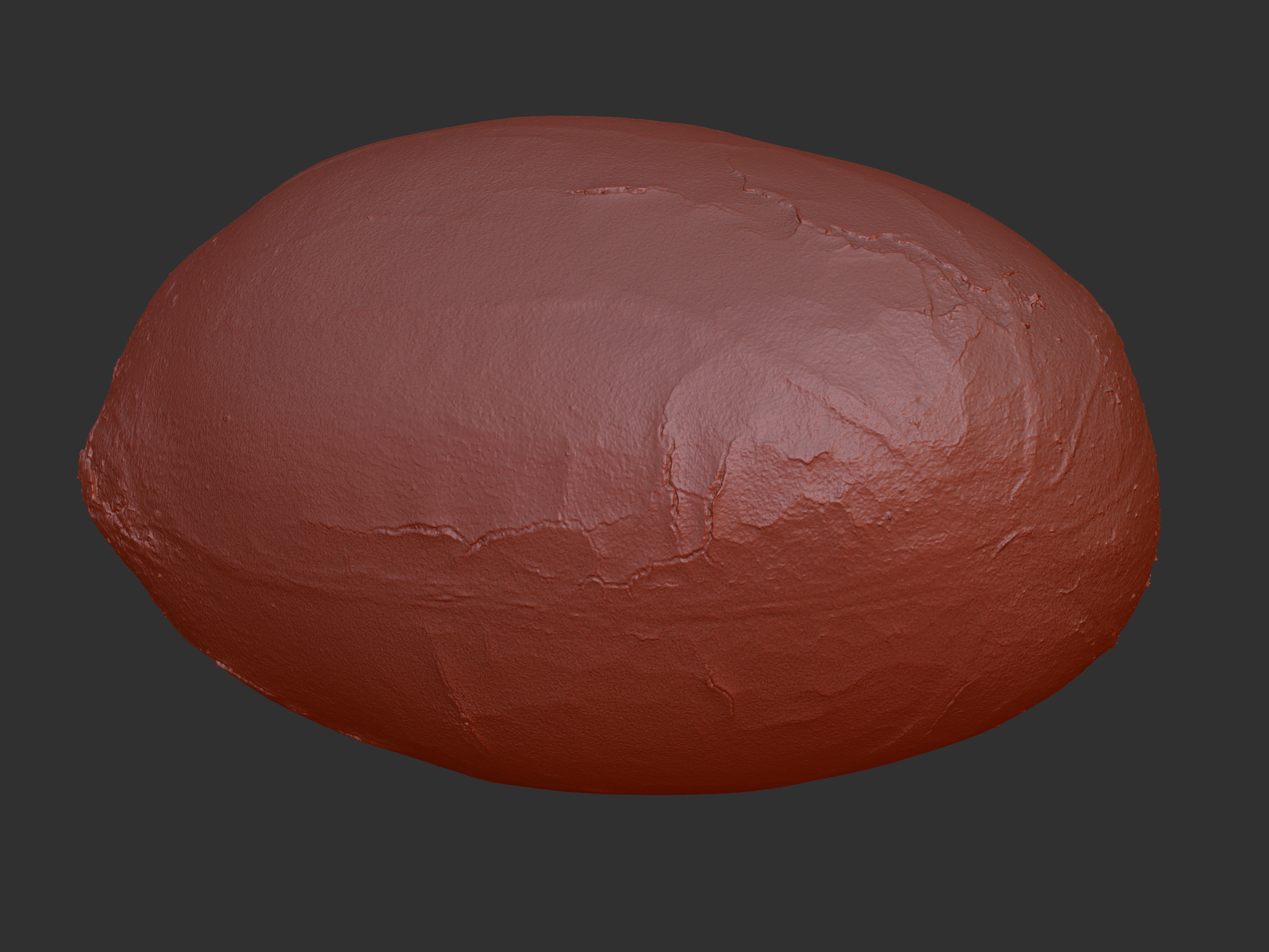Peanut 3D model_7