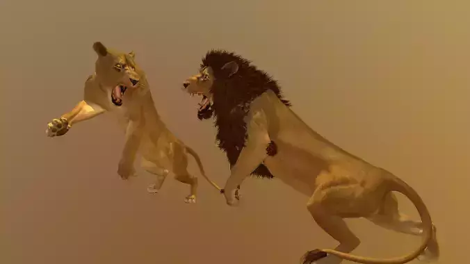 Lion and Lioness Rigged for Animation