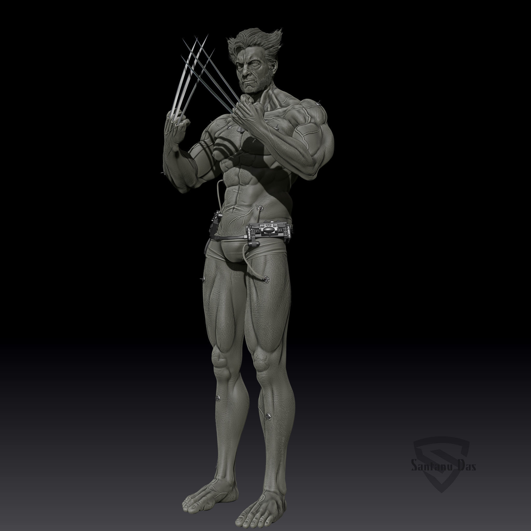 Wolberine 3d Print wolverine 3D print model_1