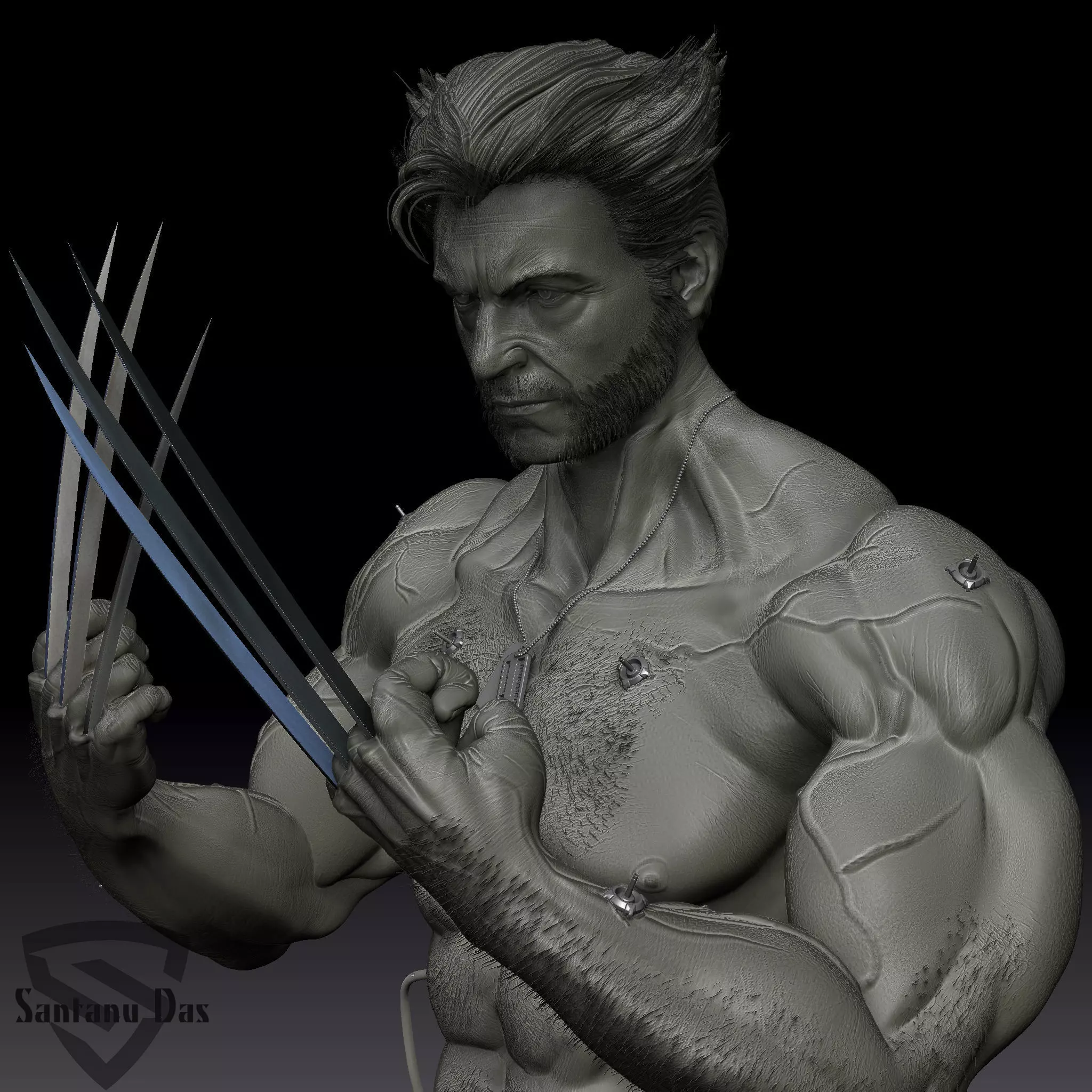Wolberine 3d Print wolverine 3D print model_0