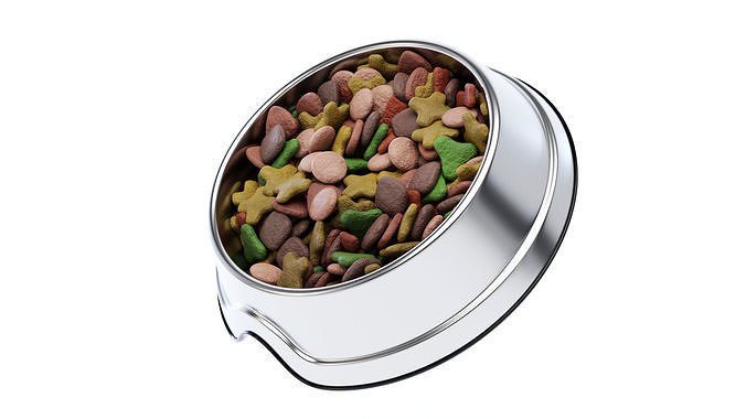 Pet Food Bowl 3D model 3