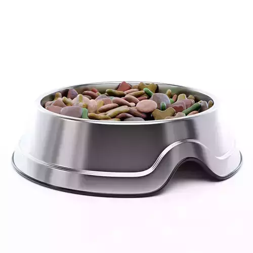 Pet Food Bowl