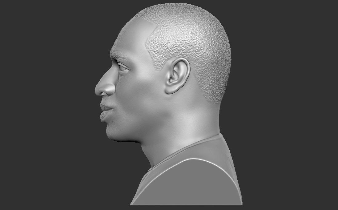 Omar Sy bust for 3D printing 3D print model_10