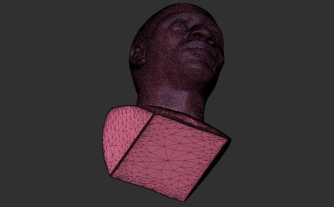 Omar Sy bust for 3D printing 3D print model_34