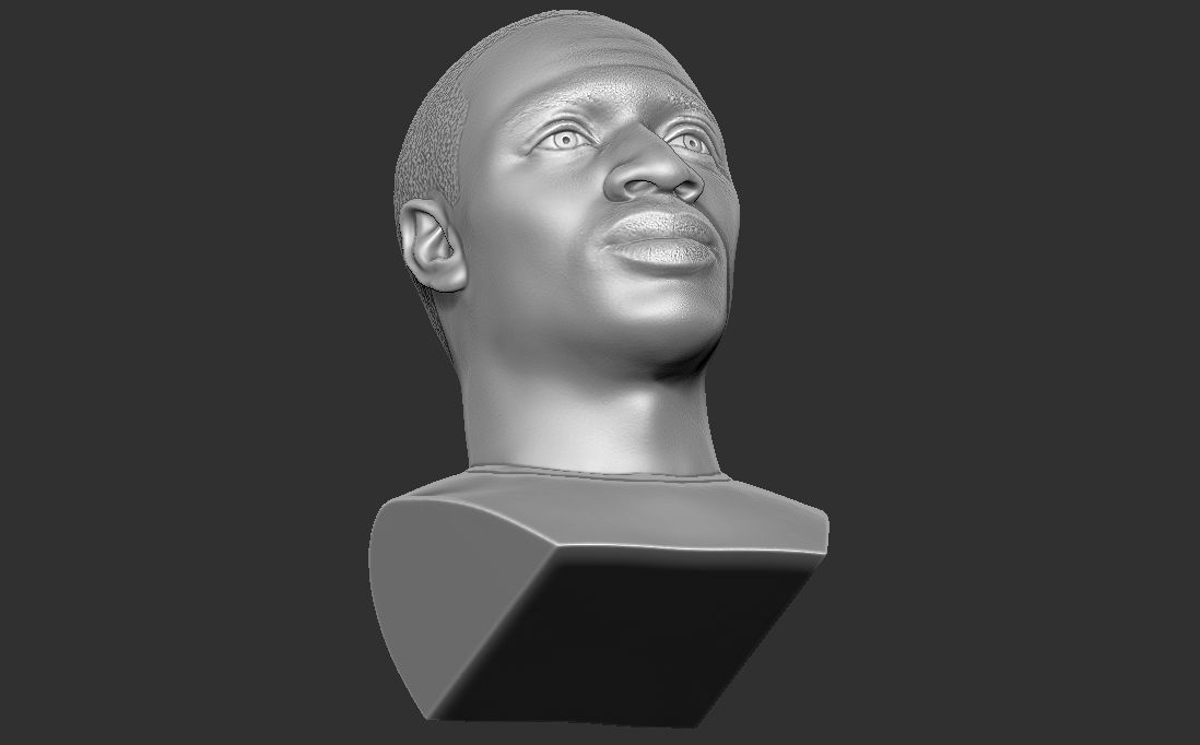 Omar Sy bust for 3D printing 3D print model_28