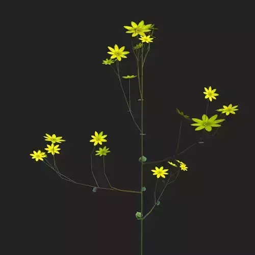 Flower plant low poly