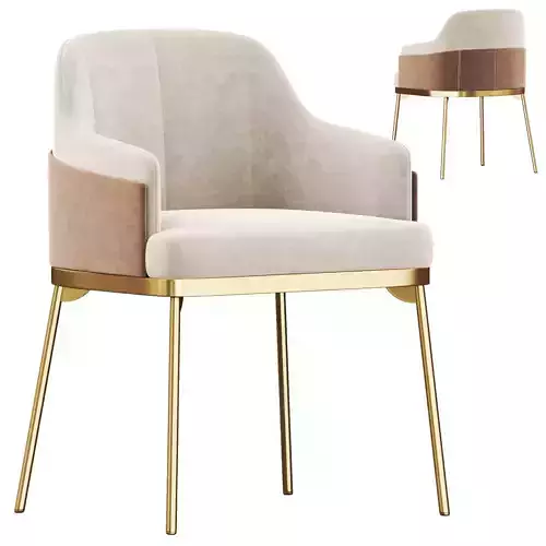 Modern dining chair