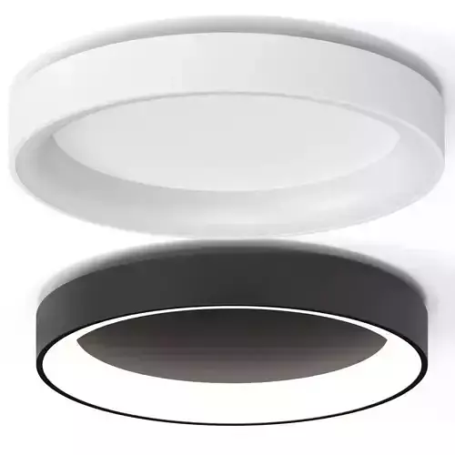 Minimalism Metal LED Ceiling Lamp