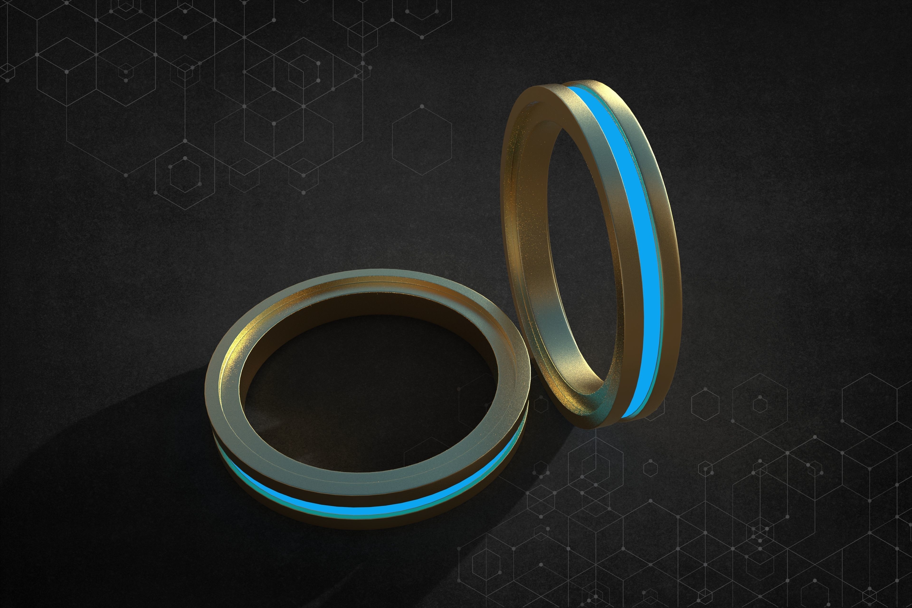 Ring  One 3D model_3