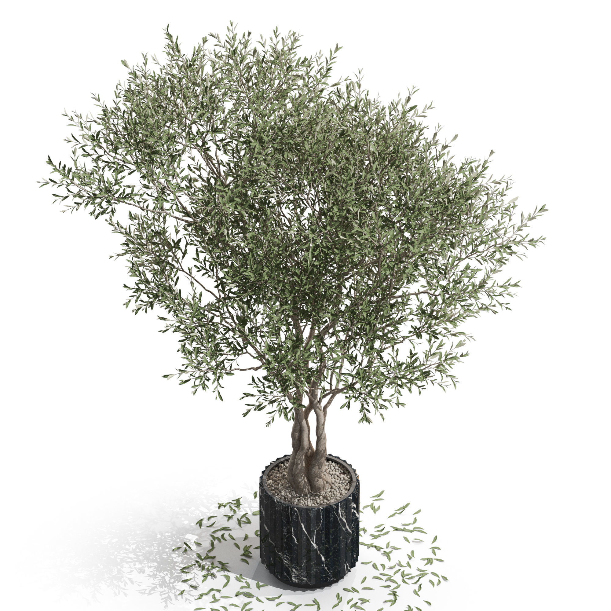 Plants collection 724 3D model_2