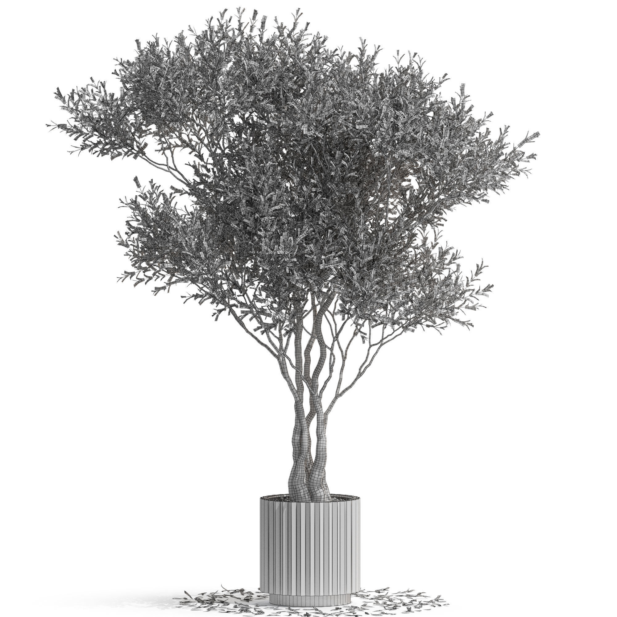 Plants collection 724 3D model_3