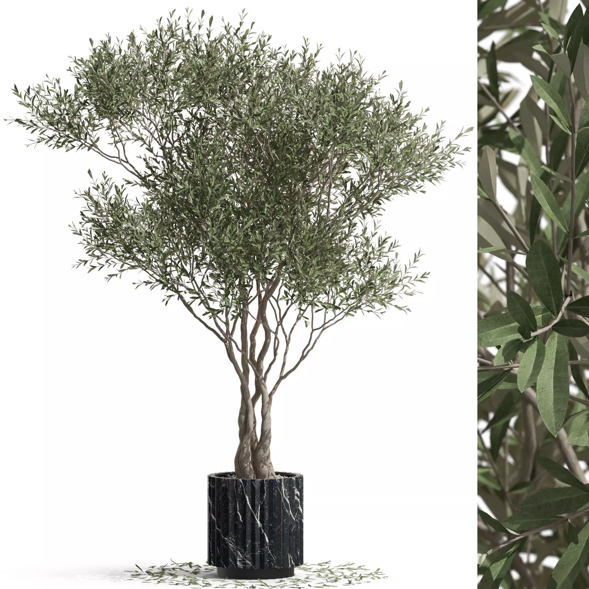 Plants collection 724 3D model_0