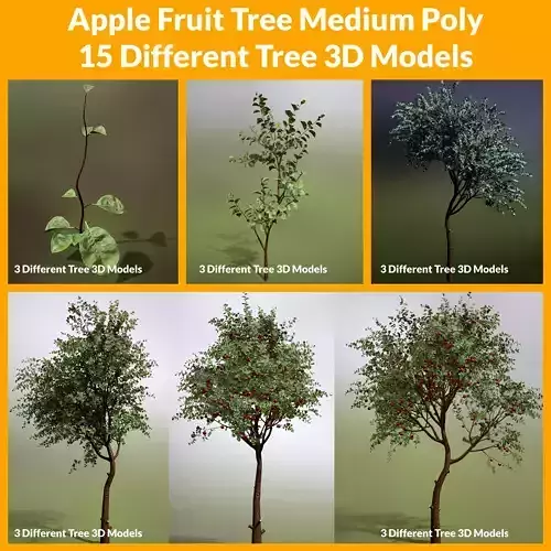 Apple Fruit Tree Medium Poly 18 Different Tree 3D Models Low-poly 3D model