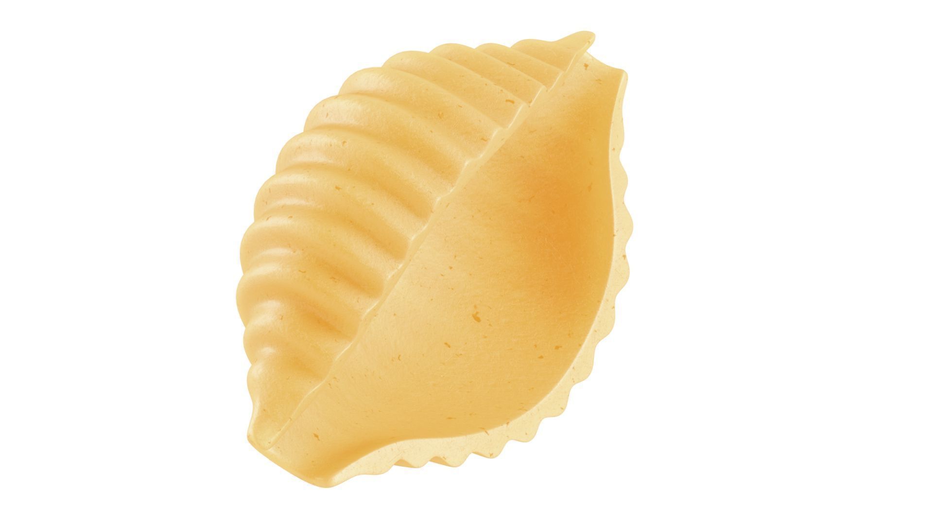 Pasta Conchiglie macaroni 3D model_2
