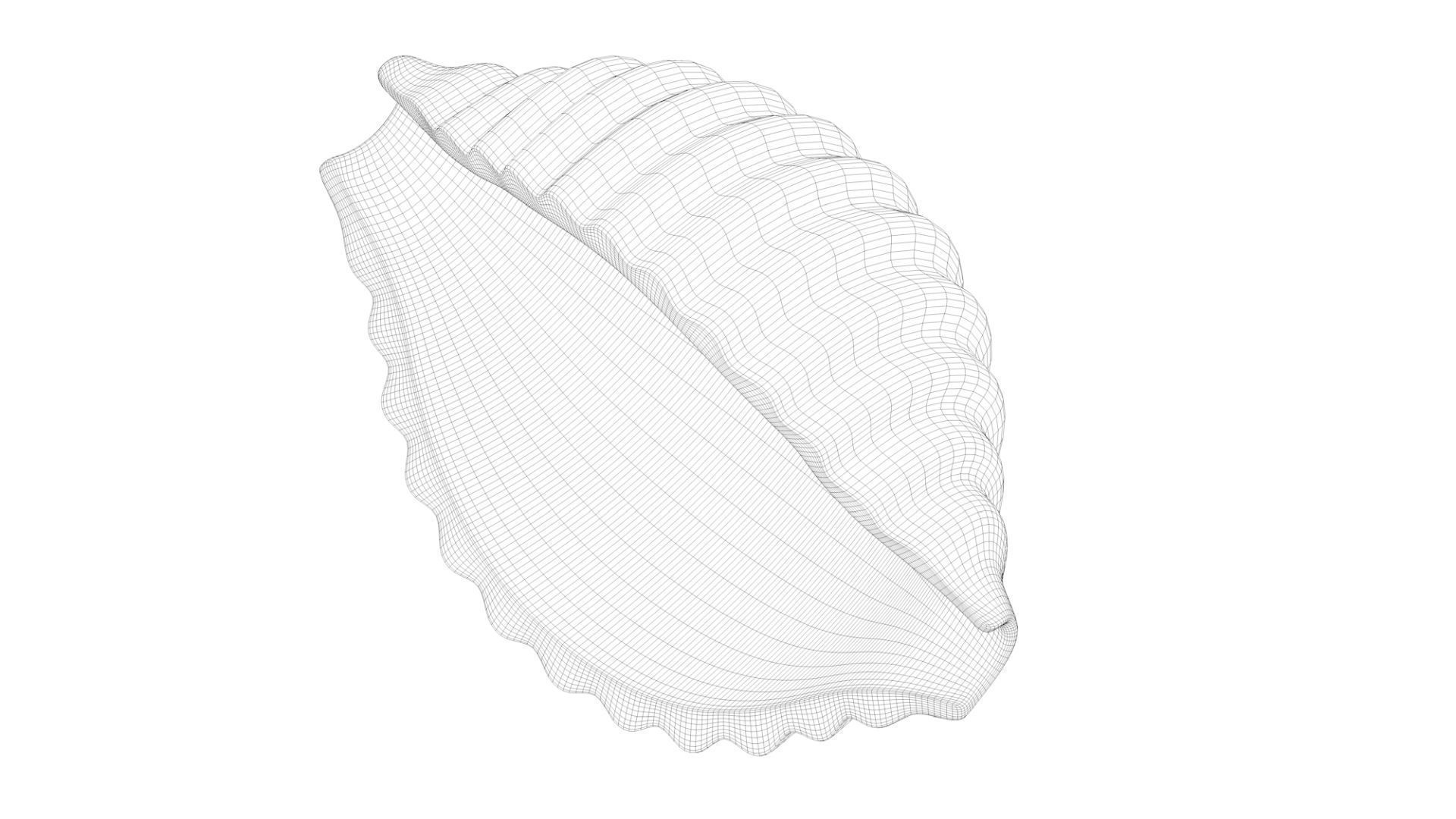 Pasta Conchiglie macaroni 3D model_5