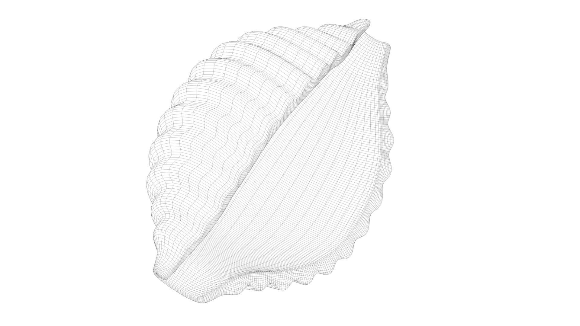 Pasta Conchiglie macaroni 3D model_9
