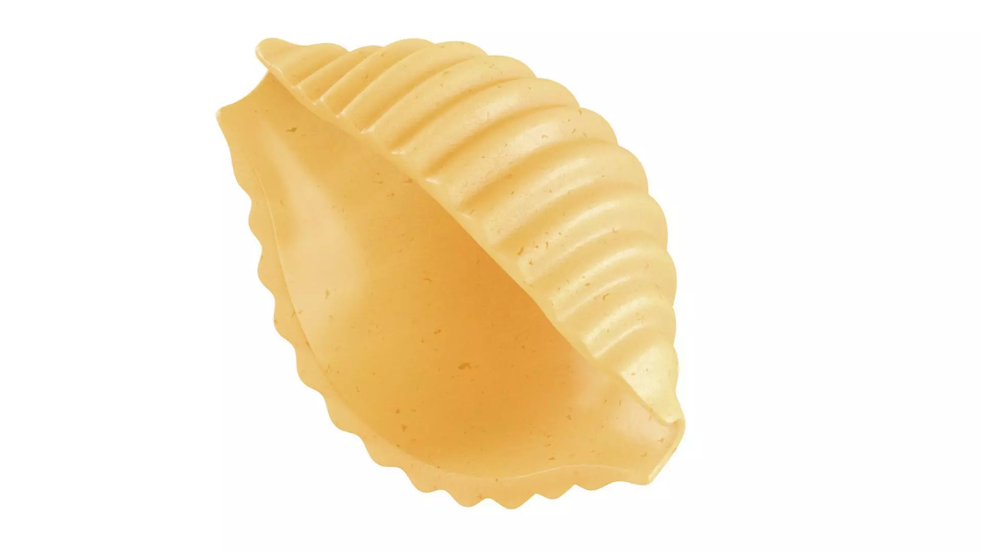 Pasta Conchiglie macaroni 3D model_0