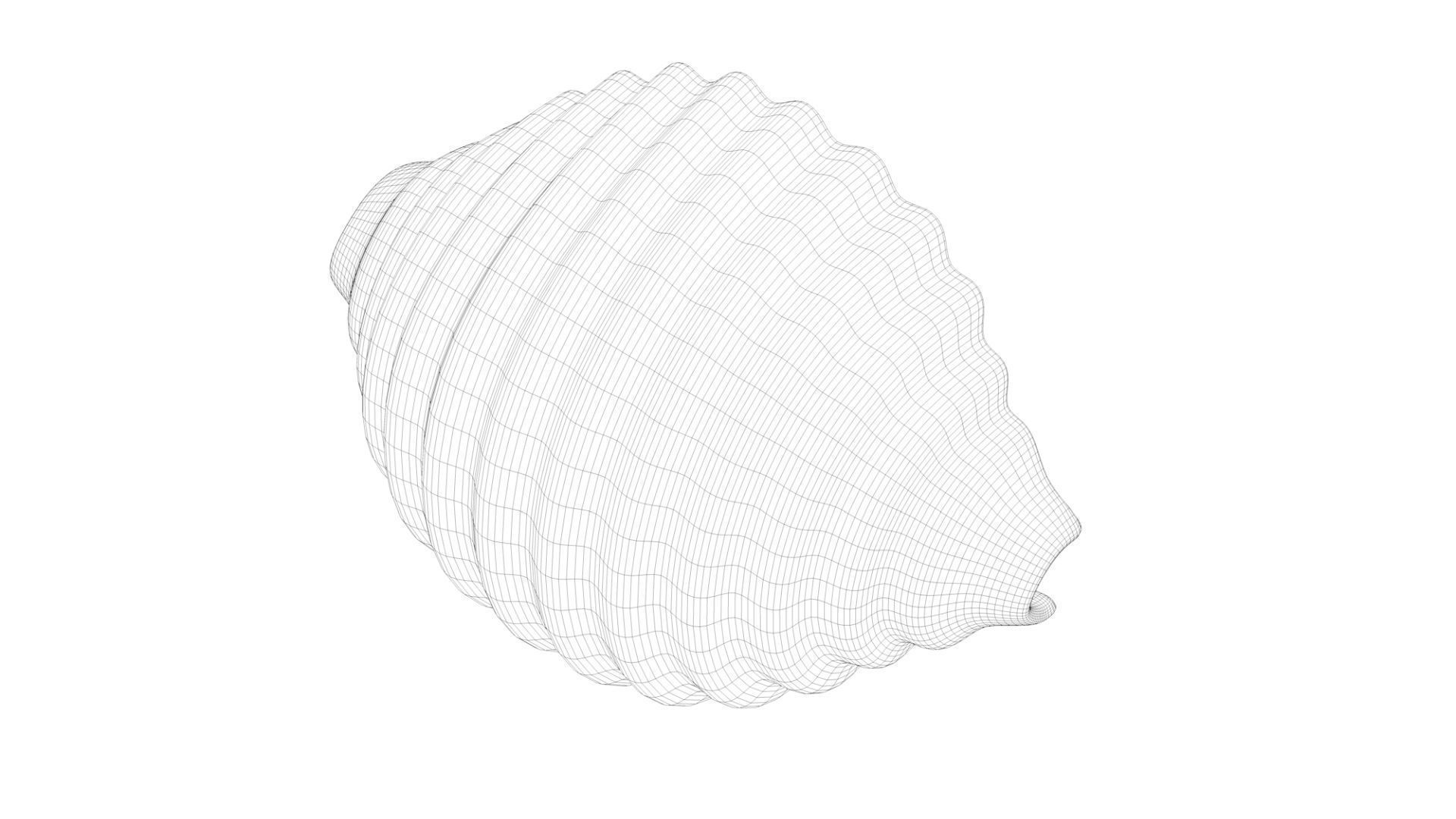 Pasta Conchiglie macaroni 3D model_7