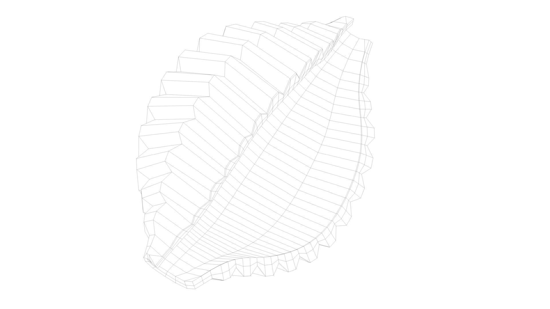 Pasta Conchiglie macaroni 3D model_8