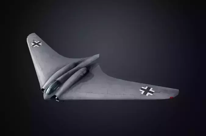 Horten Ho 229 Hand painted game model the first jet fighter