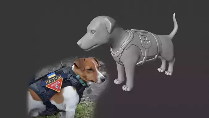Jack Russell Terrier Patron Ukrainian Dog Landmine Finder