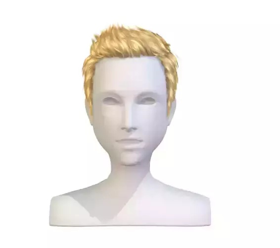 cartoon lush man haircut of short lenght Hairstyle