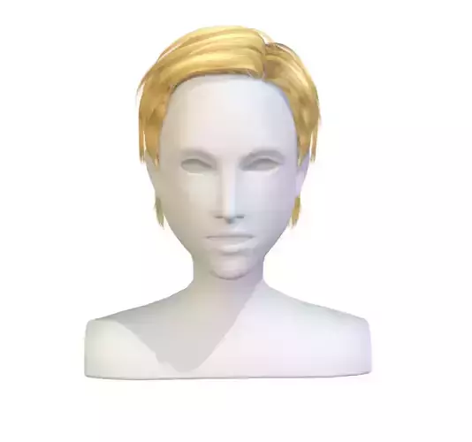 cartoon lush man haircut of short lenght Hairstyle