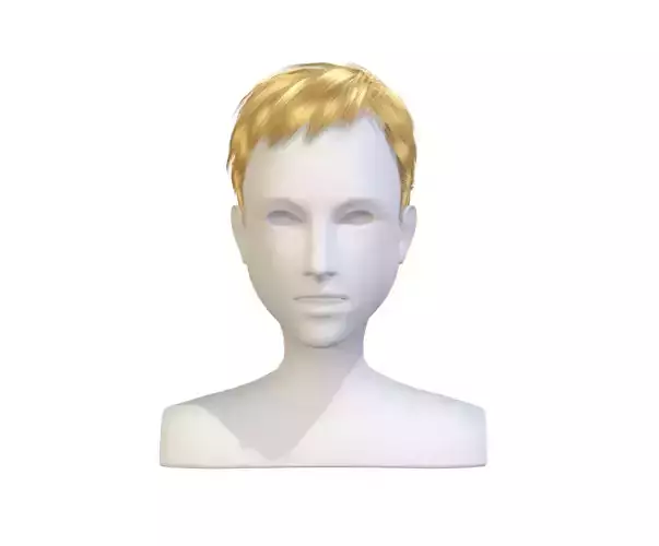 cartoon lush man haircut of short lenght Hairstyle