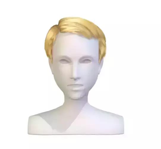 Hairstyle cartoon lush man haircut of short lenght Hairstyle