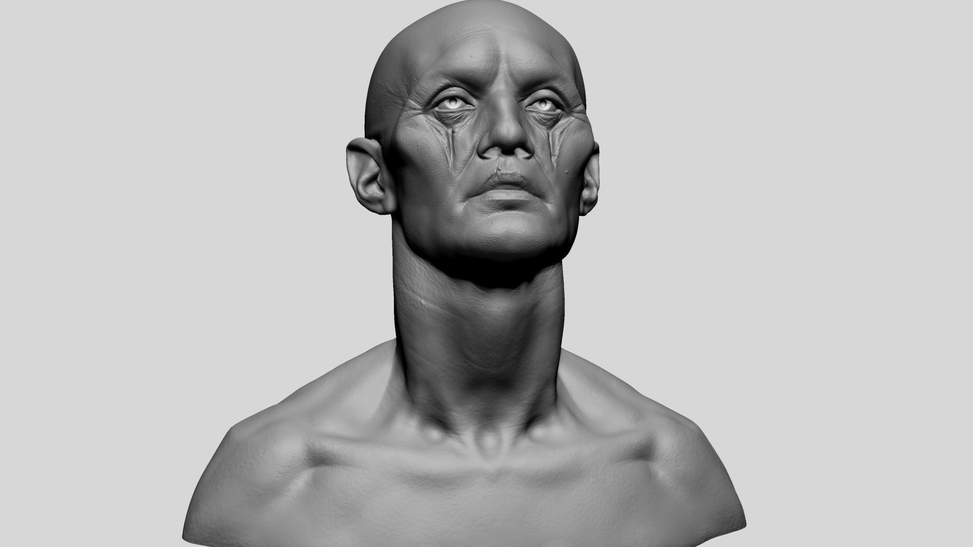 Creature Head F 3D model_12